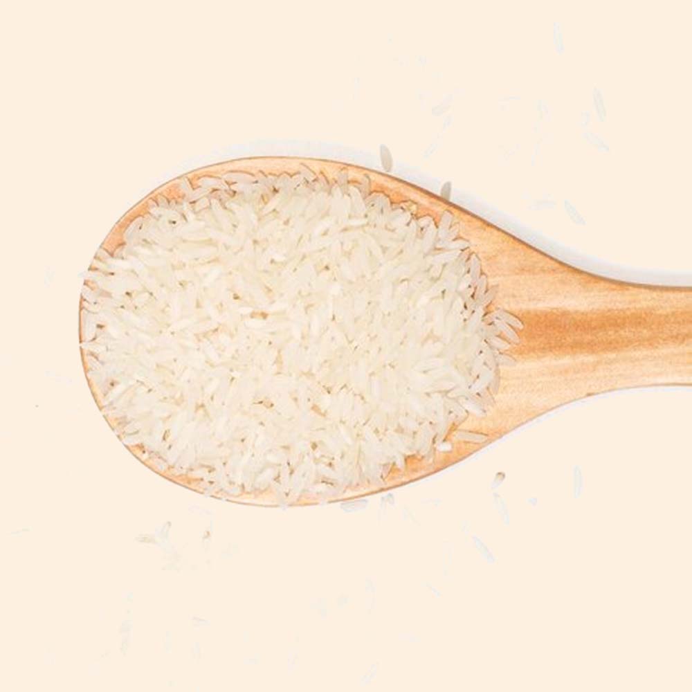 Hydrolyzed Rice Protein Hydrolyzed Rice Protein